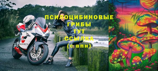хмурый Армянск