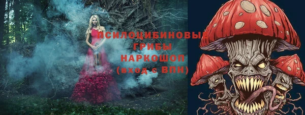 хмурый Армянск