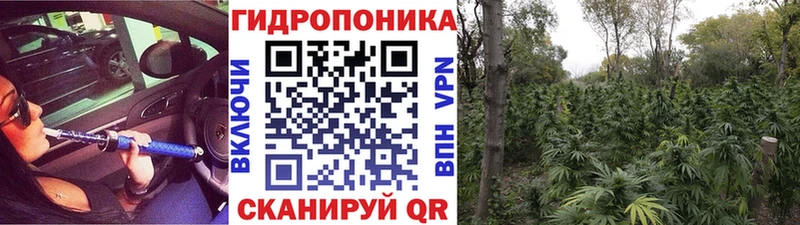 Бошки Шишки план  Облучье 